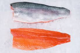 Salmon