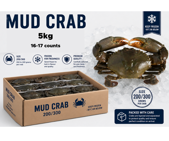 Whole Mud Crab 200/300 IQF 5kg