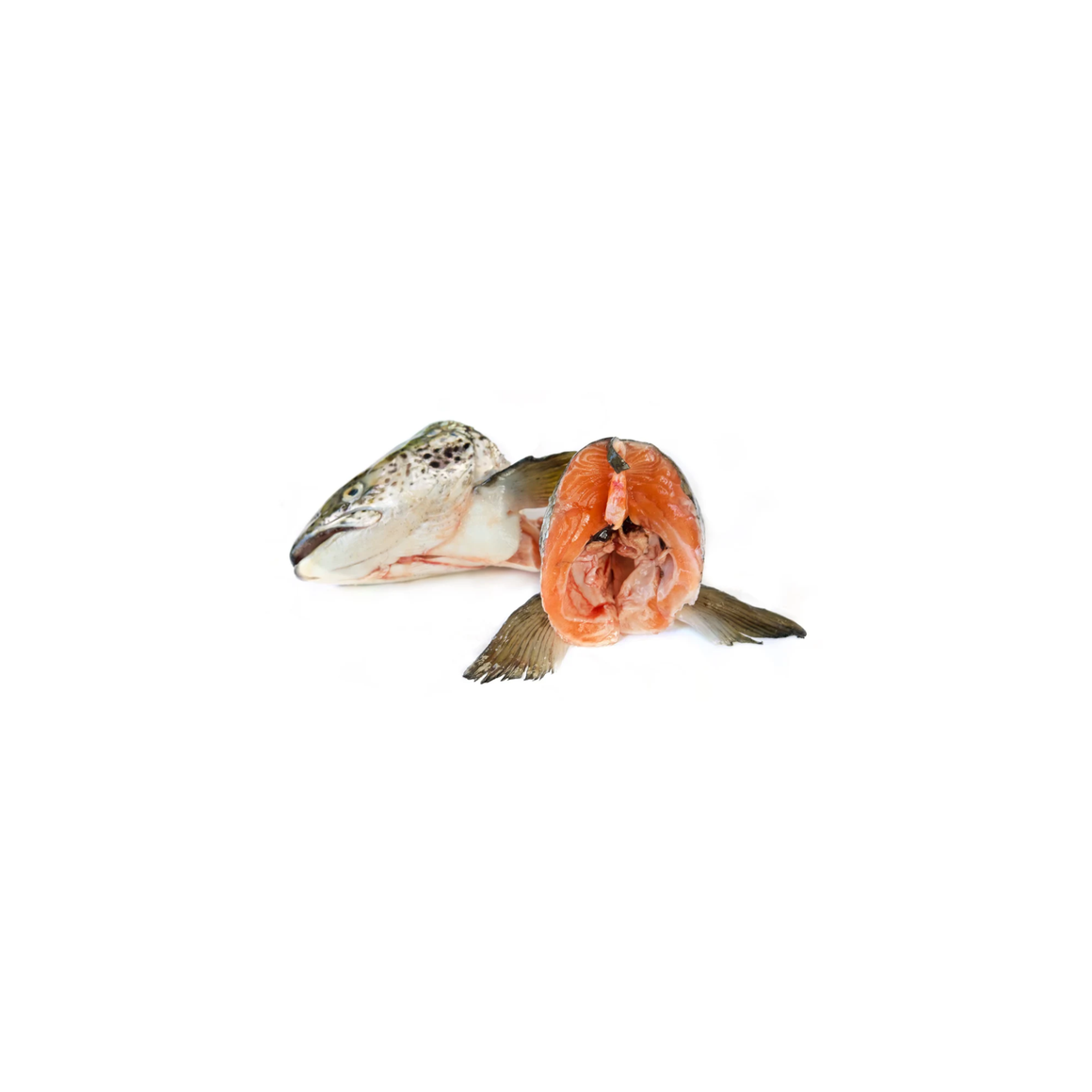 NZ King Salmon Heads 15kg Carton