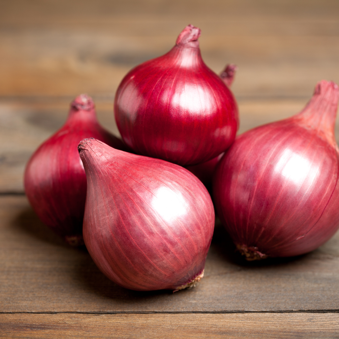 NZ Red Onion medium to large, price per kg