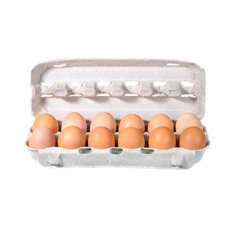 Dairy & Non-Dairy Products
