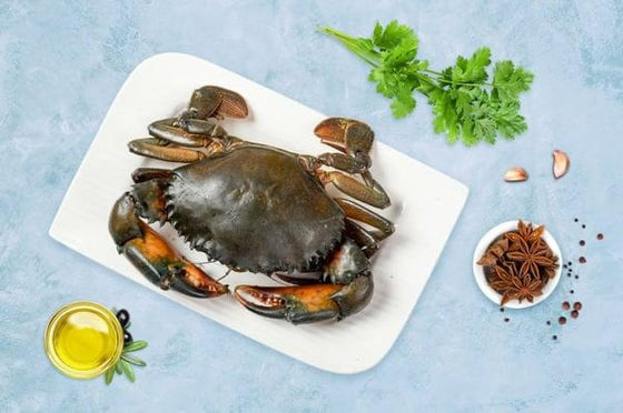 SM Whole Mud Crab Madagascar (300/500) 5kg