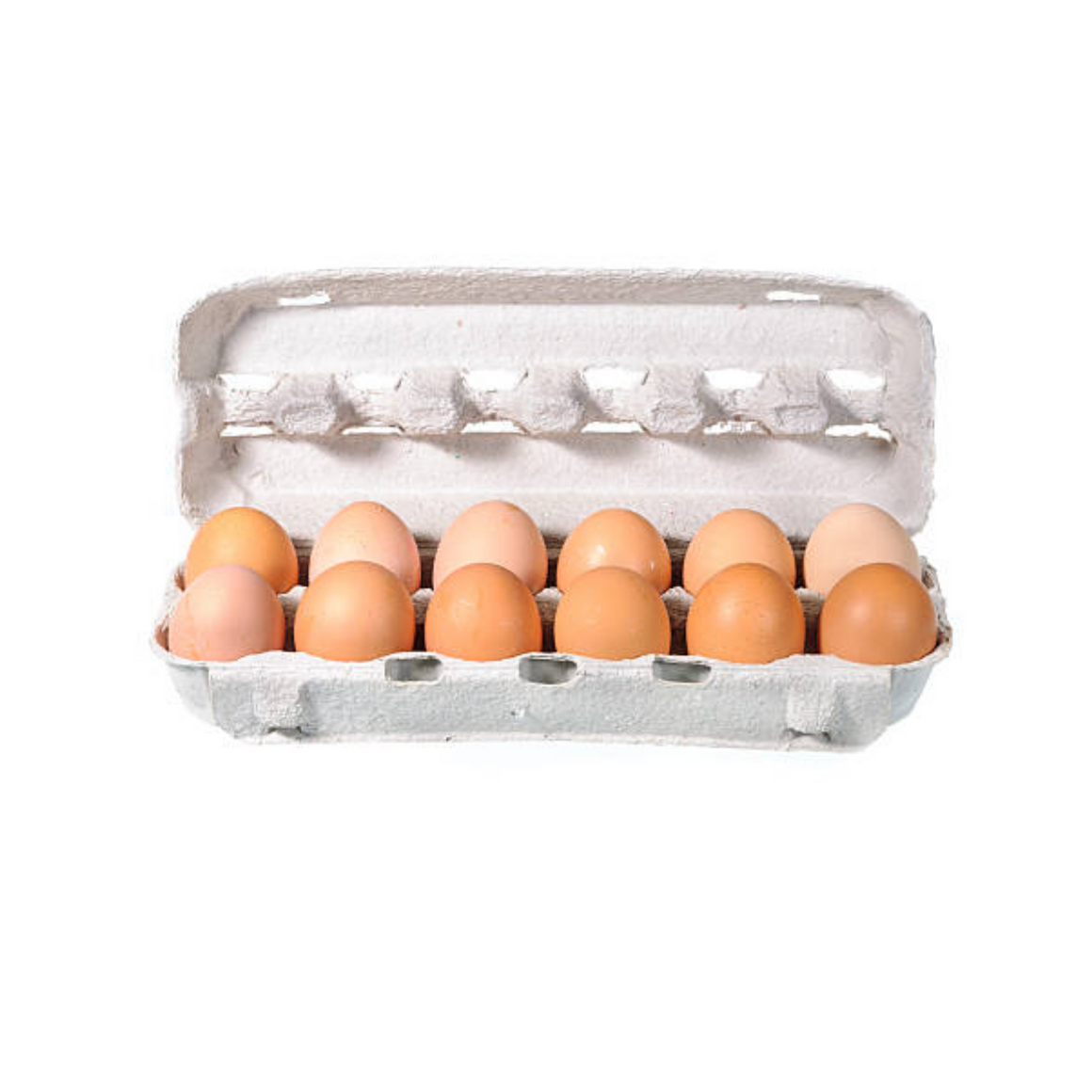 (1) Large Egg, One Dozen