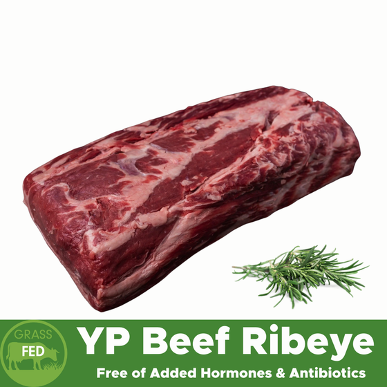 Red Gum, Frozen YP Beef Cube Roll/Ribeye 3kg+