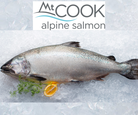 Whole NZ king Salmon VP,  average 1.7- 2.2 kg each, price per kg